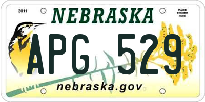 NE license plate APG529