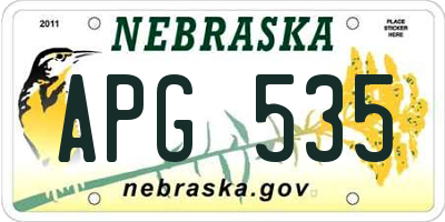 NE license plate APG535