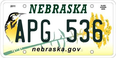 NE license plate APG536