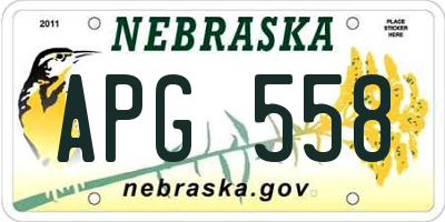 NE license plate APG558