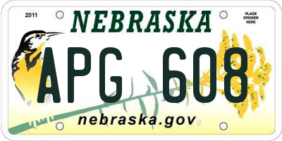 NE license plate APG608