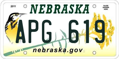 NE license plate APG619