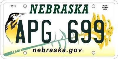 NE license plate APG699