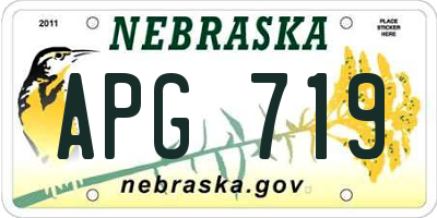 NE license plate APG719