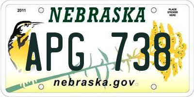 NE license plate APG738