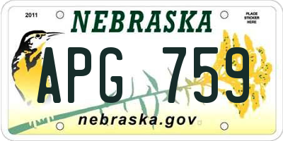 NE license plate APG759