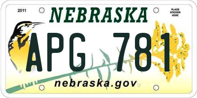 NE license plate APG781