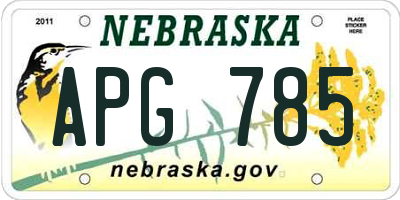 NE license plate APG785