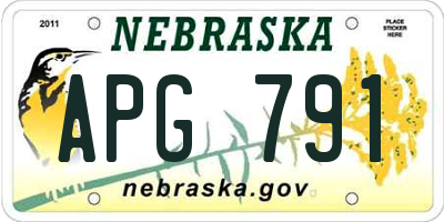 NE license plate APG791