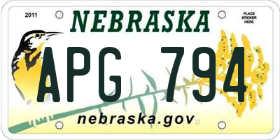 NE license plate APG794