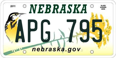 NE license plate APG795