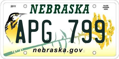 NE license plate APG799