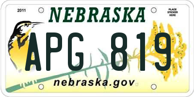 NE license plate APG819