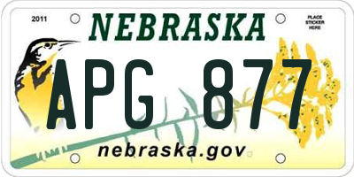 NE license plate APG877