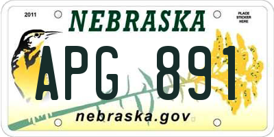 NE license plate APG891