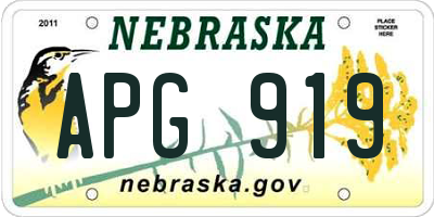 NE license plate APG919