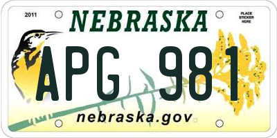 NE license plate APG981