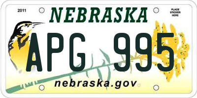 NE license plate APG995