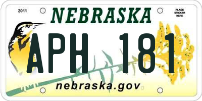 NE license plate APH181