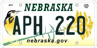 NE license plate APH220