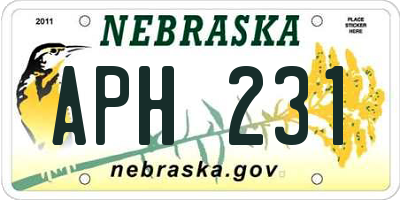 NE license plate APH231