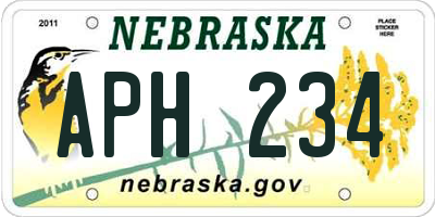 NE license plate APH234