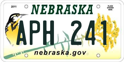 NE license plate APH241