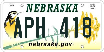 NE license plate APH418