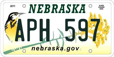 NE license plate APH597