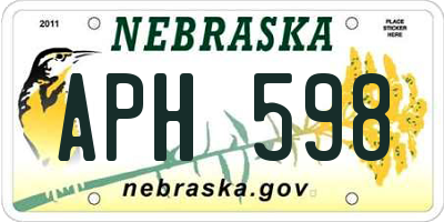NE license plate APH598