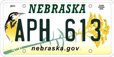 NE license plate APH613