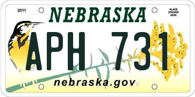 NE license plate APH731