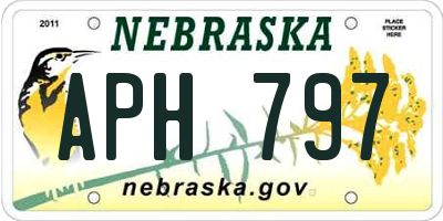 NE license plate APH797