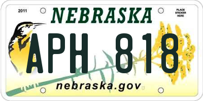 NE license plate APH818