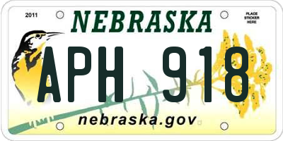 NE license plate APH918