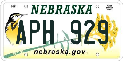 NE license plate APH929