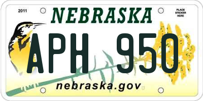 NE license plate APH950