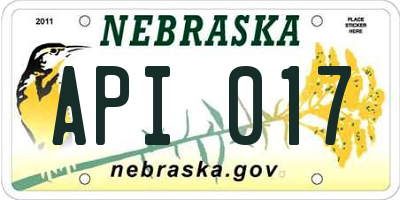 NE license plate API017