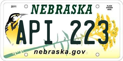 NE license plate API223