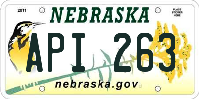 NE license plate API263