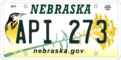 NE license plate API273