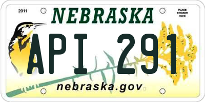 NE license plate API291