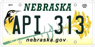 NE license plate API313