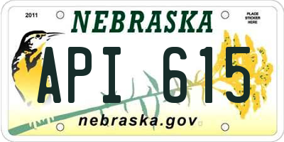 NE license plate API615