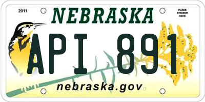 NE license plate API891