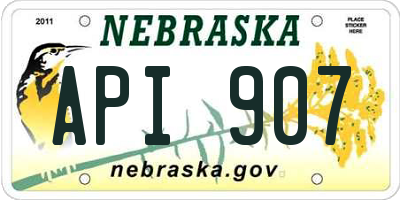 NE license plate API907
