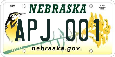 NE license plate APJ001