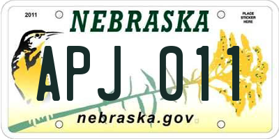 NE license plate APJ011