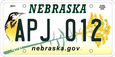 NE license plate APJ012