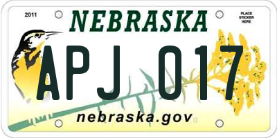 NE license plate APJ017